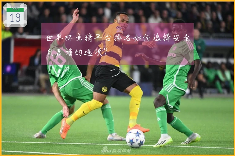 世界杯竞猜平台排名如何选择安全且靠谱的选项？