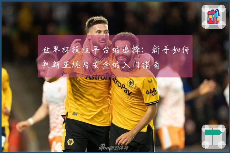 世界杯投注平台的选择：新手如何判断正规与安全的入门指南