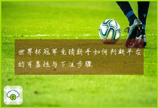世界杯冠军竞猜新手如何判断平台的可靠性与下注步骤