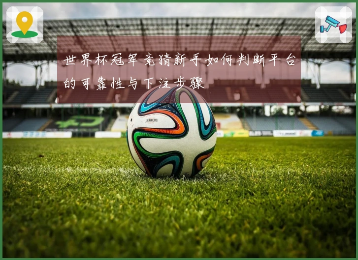 世界杯冠军竞猜新手如何判断平台的可靠性与下注步骤