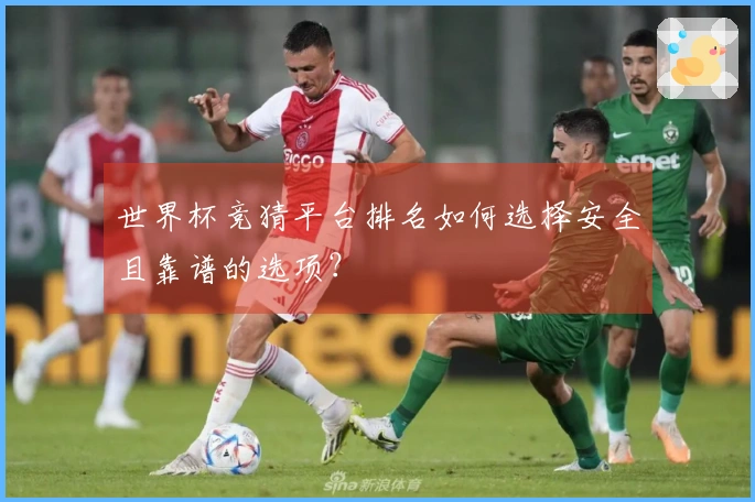 世界杯竞猜平台排名如何选择安全且靠谱的选项？