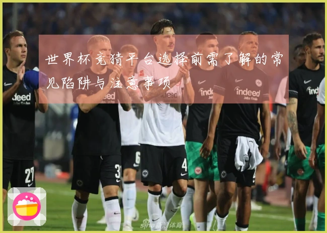 世界杯竞猜平台选择前需了解的常见陷阱与注意事项