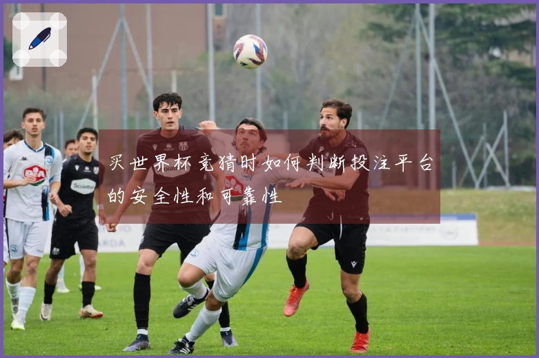 买世界杯竞猜时如何判断投注平台的安全性和可靠性