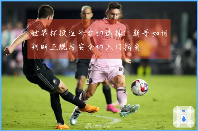 世界杯投注平台的选择：新手如何判断正规与安全的入门指南