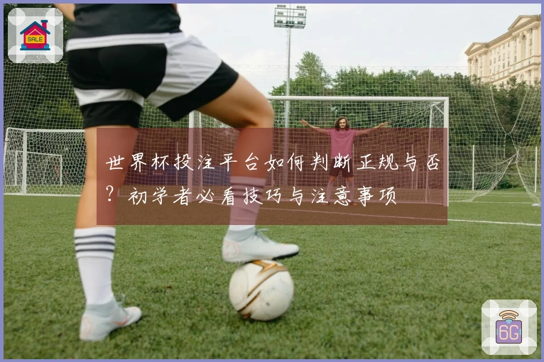 世界杯投注平台如何判断正规与否？初学者必看技巧与注意事项